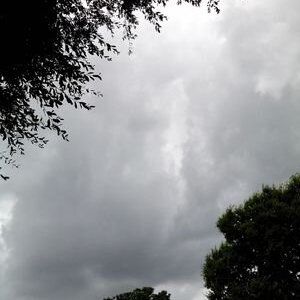 Profile Picture of Seany Sean (@seanmagnolia) on Myspace