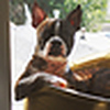 Profile Picture of April Winchell (@aprilwinchell) on Flickr