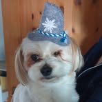 Profile Picture of Andreas Englert (@andiby181) on Facebook