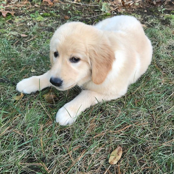 Profile Picture of Lisa Kennedy (@lisarx77) on Poshmark