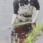 Profile Picture of Alexander Lundquist (@alexanderlundquist04) on Instagram