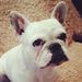 Profile Picture of Lorraine Chow (@chow2476) on Pinterest