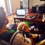 Profile Picture of Corey Brill (@brillo115) on Instagram