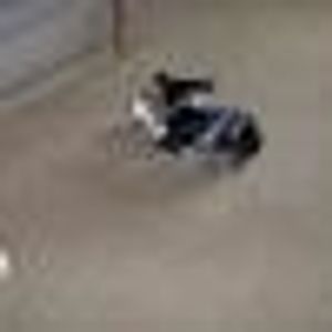 Profile Picture of Jeanette Gilbert (@367964664) on Myspace