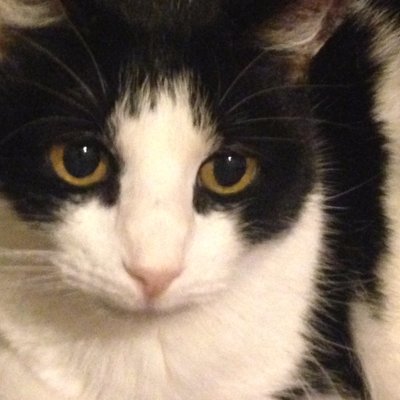 Profile Picture of Paula Farrior (@PaulaFarrior) on Twitter