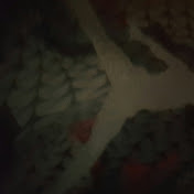 Profile Picture of Mark Moser (@markmoser6277) on Youtube