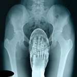 Profile Picture of Hank Grady (@hankgrady) on Flickr