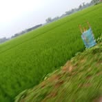 Profile Picture of Justine Humbert (@Justine-Humbert) on Facebook