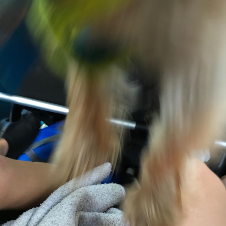 Profile Picture of L (@ellis_brier) on Tiktok