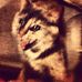 Profile Picture of Ginger Slone (@ginger.slone.1) on Facebook