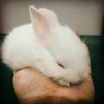 Profile Picture of MUHAMMAD AMMAR (@muhammadammar1527) on Instagram