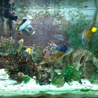 Profile Picture of Wesley Fulcher (@wesleyfulcher) on Twitter