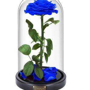 Profile Picture of petersonwilbur (@petersonwilbur) on Tiktok