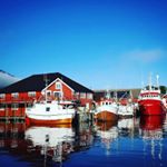 Profile Picture of Maren Anna (@marenanna.lofoten) on Instagram