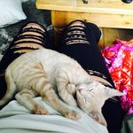 Profile Picture of Emily Satterfield (@esatt124) on Instagram
