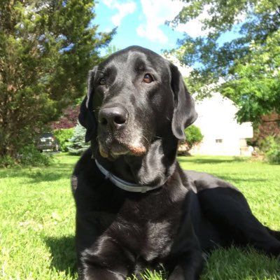 Profile Picture of DJ Matlack (@dmatlack13) on Twitter
