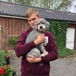 Profile Picture of Jesper Køhlert (@jesperkoehlert) on Instagram