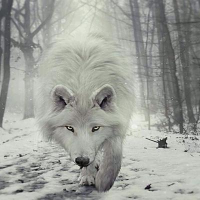 Profile Picture of Joy Conley (@jconley0527) on Twitter