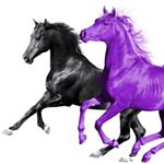 Profile Picture of ttv_timgonzalez (@timothygonzalez404) on Instagram