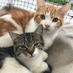 Profile Picture of Jessica Köhlert (@jessicakohlert) on Instagram