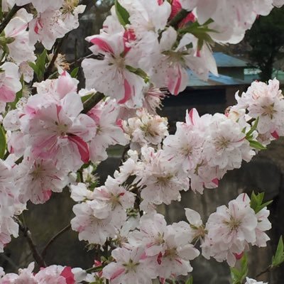 A Leung - Twitter Profile Picture of A Leung (@ALeung10531314) on Twitter