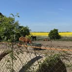 Adam Berlin - Facebook Profile Picture of Adam Berlin (@Adam-Berlin) on Facebook