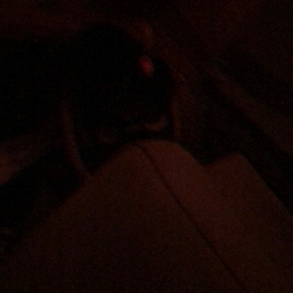 Raven Swain - Poshmark Profile Picture of Raven Swain (@raybird306) on Poshmark