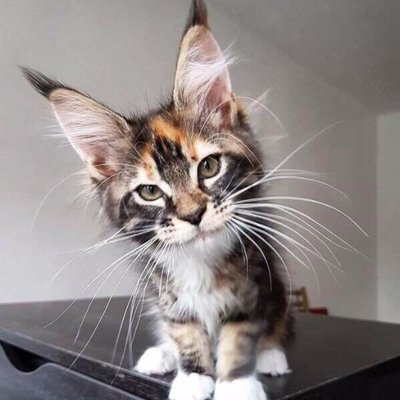 Profile Picture of Андрей (@france19russ) on Twitter