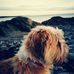 Profile Picture of Paul Mc Keever (@paul.mckeever.589) on Facebook