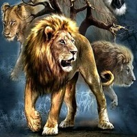 Profile Picture of Ian Nathan (@ian-nathan-5) on Quora