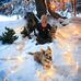 Profile Picture of Val Tracy (Ringhofer Lahti) (@val.tracy.7) on Facebook