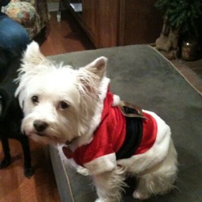 Profile Picture of Gene Howard 3 (@howardgene3) on Twitter