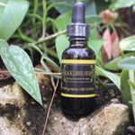 Profile Picture of Paul Castaldi (@paul_black_label_hemp) on Instagram