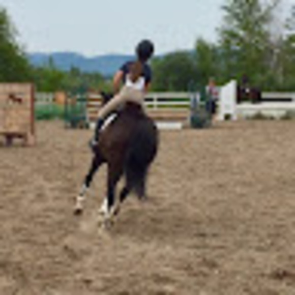 Profile Picture of Alysia Totino (@alysia_totino) on Poshmark