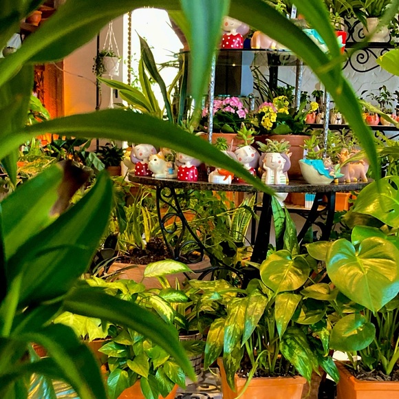 Profile Picture of James Felix (@jamesfelix223) on Poshmark