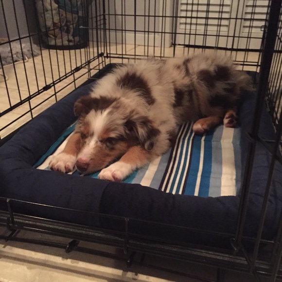 Profile Picture of David Bransfield (@dbrans) on Poshmark