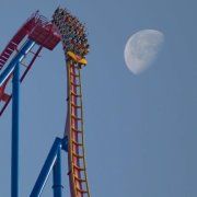 Profile Picture of Leah Krauss (@moglik) on Pinterest