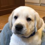 Profile Picture of Nancy Philly (@yardley__sep) on Instagram