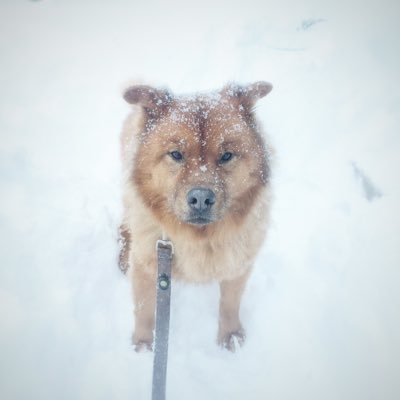Profile Picture of Dave (@DaveVanderslice) on Twitter