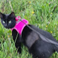 Profile Picture of Leia Evans (@leia-evans-5) on Quora