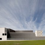 Ruth Feyereisen - Instagram Profile Picture of Ruth Feyereisen (@yellowamyslayer) on Instagram