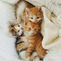 Profile Picture of Mave James (@mave-james) on Quora