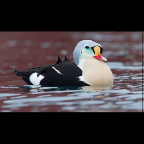 Colten Brunette - Poshmark Profile Picture of Colten Brunette (@dirtdud) on Poshmark