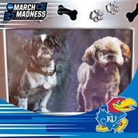 Profile Picture of Scott Ditch (@scott-ditch) on Quora