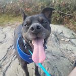 Profile Picture of Jeff Rackauskas (@jrackattack89) on Instagram