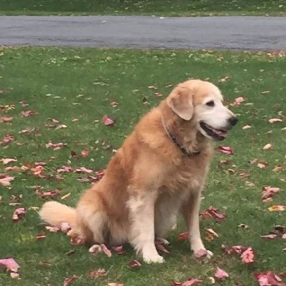 Profile Picture of Tim Ellenz (@timellenz) on Poshmark