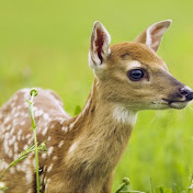 Profile Picture of Eric Makin (@ericmakin9351) on Youtube