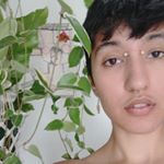Profile Picture of Begonia Zeke Garcia (@beefsteak_begonia) on Instagram