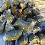 Profile Picture of Chad Roberts (@chad420roberts) on Instagram