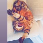 Profile Picture of Jesse (@jesse_matthews2) on Instagram